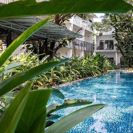 ปิปปาลี บูทิก โฮเต็ล Hotel กำปอต ภายนอก รูปภาพ